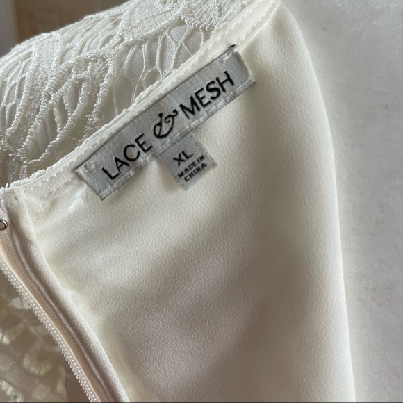 Modcloth Lace & Mesh Dress - Picture 6 of 11